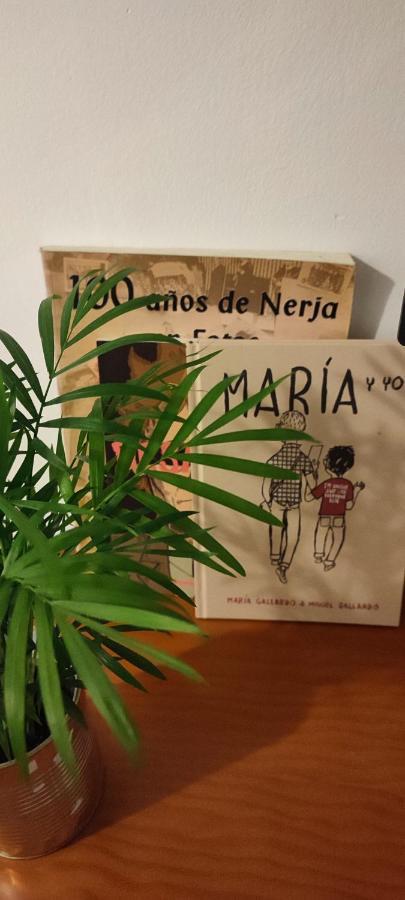 Nerja Apartamento Centro Kültér fotó